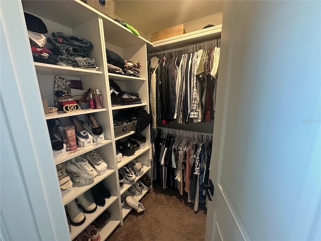 spacious closet with carpet floors