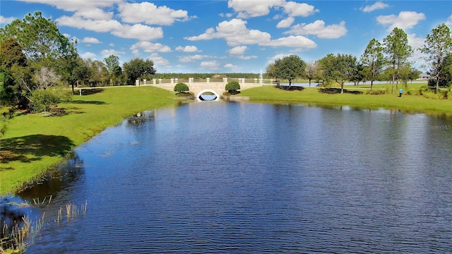 view of water feature