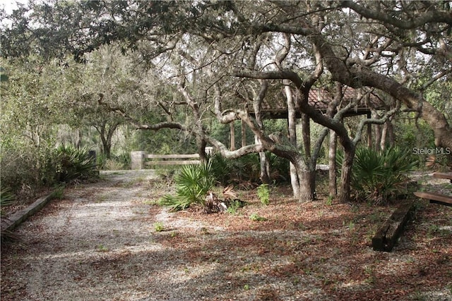 view of landscape