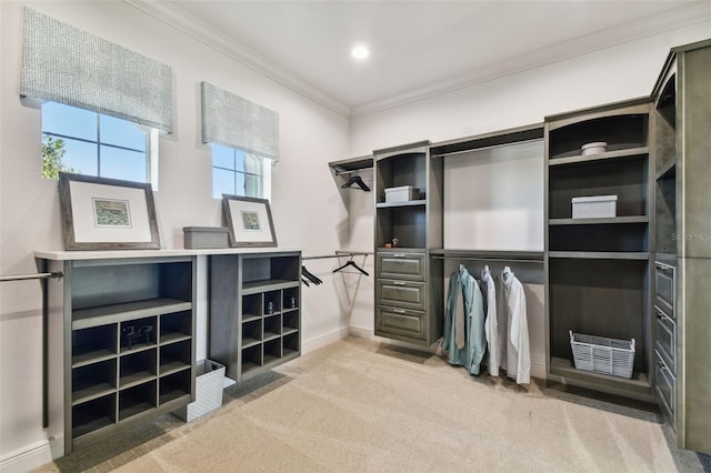 spacious closet with light colored carpet