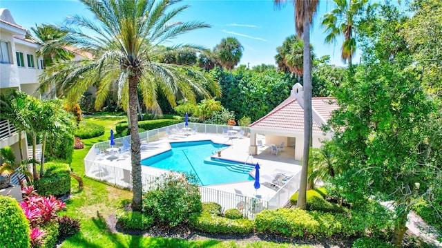 view of swimming pool featuring a patio