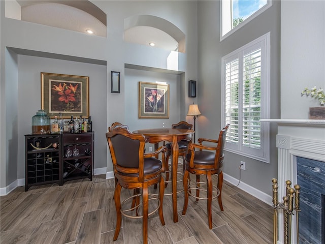 4709 Corsage Dr, Lutz, FL 33558 - dining area featuring wood finished floors and a fireplace
