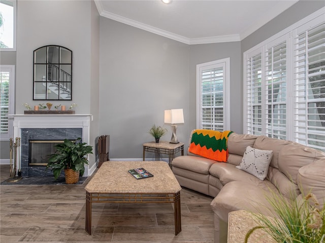 4709 Corsage Dr, Lutz, FL 33558 - living room with wood finished floors, plenty of natural light, crown molding, and a fireplace