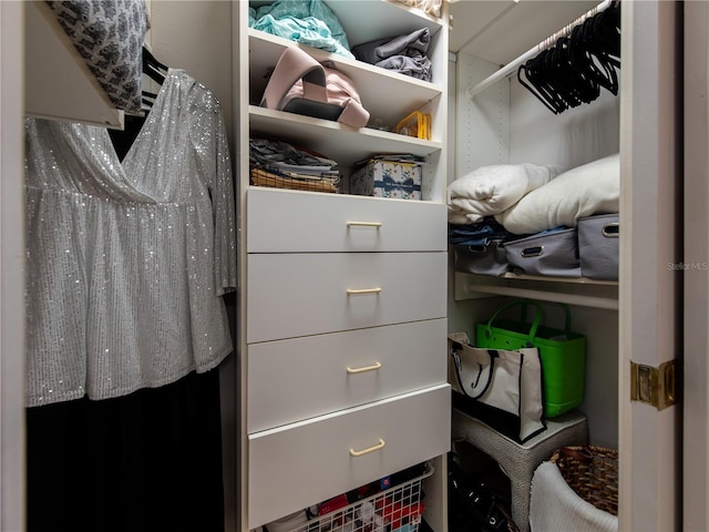 view of spacious closet