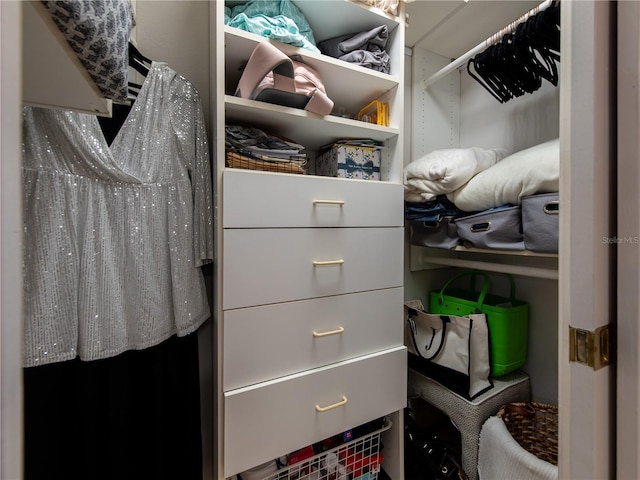 4709 Corsage Dr, Lutz, FL 33558 - view of spacious closet
