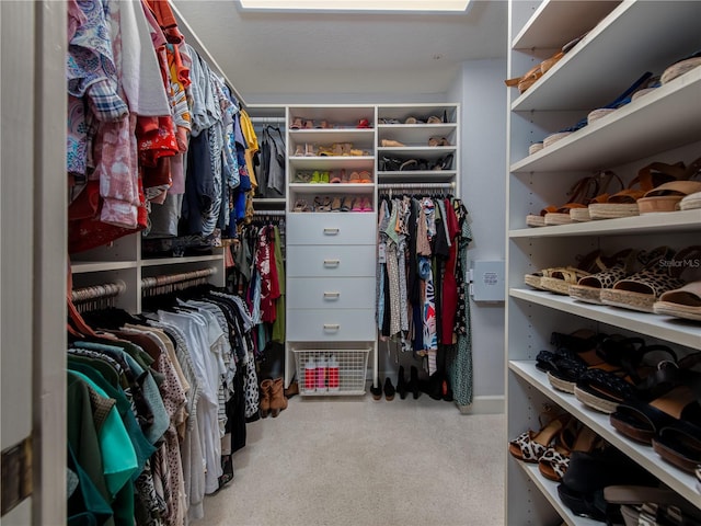 view of spacious closet