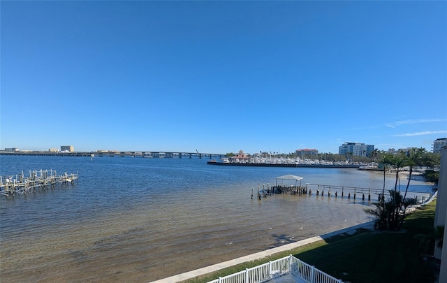 dock area with a water view