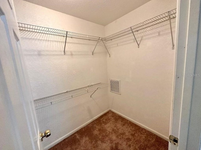 walk in closet with carpet