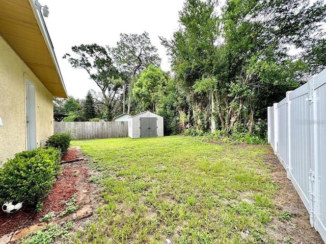 view of yard with a storage unit