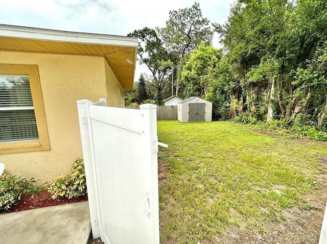 view of yard with a storage unit