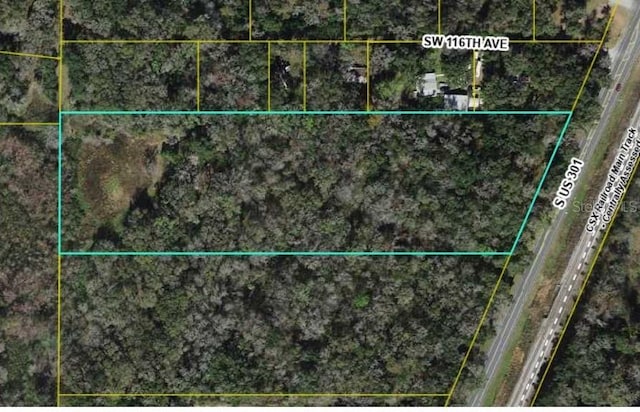 11644 S US Highway 301, Webster FL, 33597 land for sale