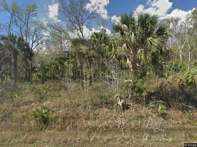 10655 Ruth Ave, Hastings FL, 32145 land for sale