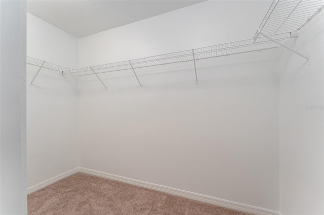 walk in closet with carpet