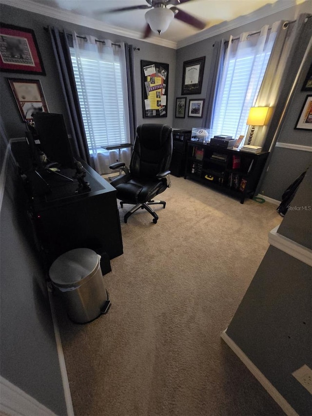 carpeted office space with ornamental molding and ceiling fan