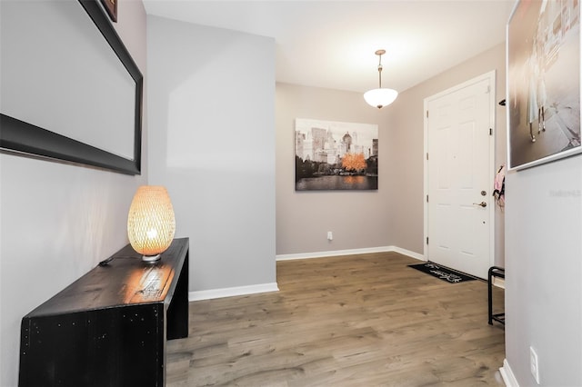 foyer with hardwood / wood-style flooring