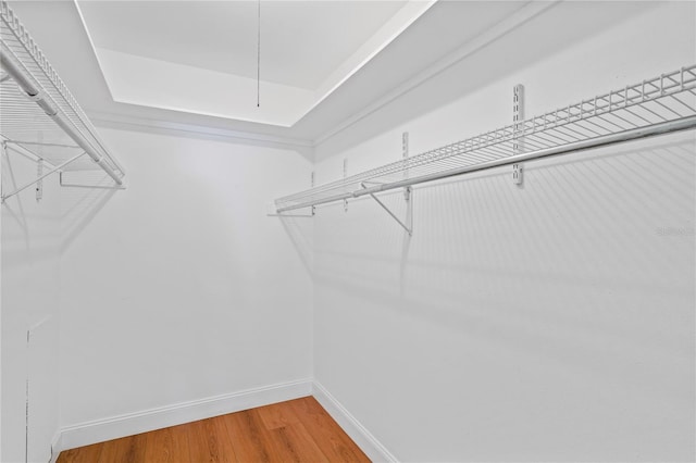 spacious closet with hardwood / wood-style flooring