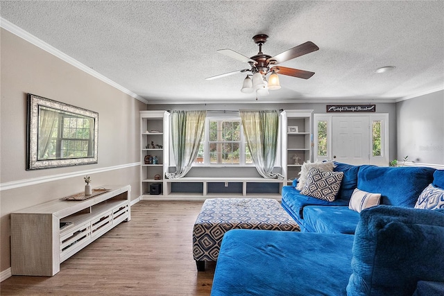 living room featuring crown molding, a textured ceiling, and wood finished floors