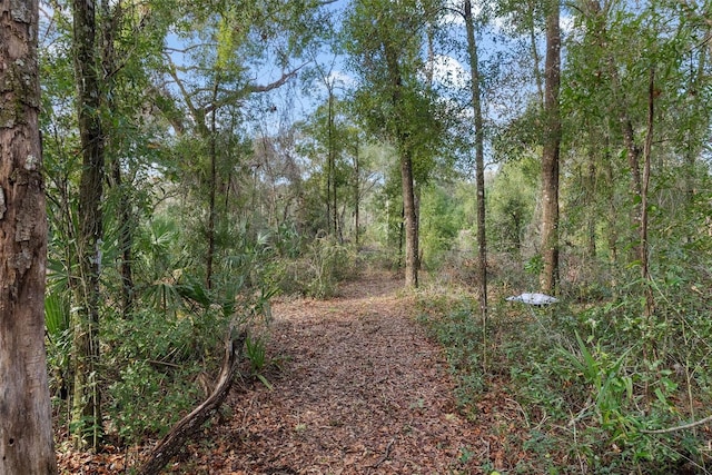 6600 E Noel Pl, Inverness FL, 34452 land for sale