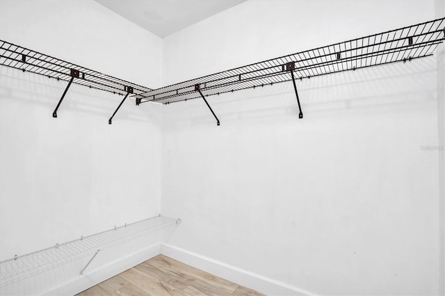 walk in closet featuring hardwood / wood-style flooring