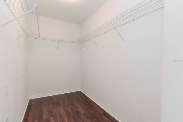 walk in closet featuring dark wood-type flooring