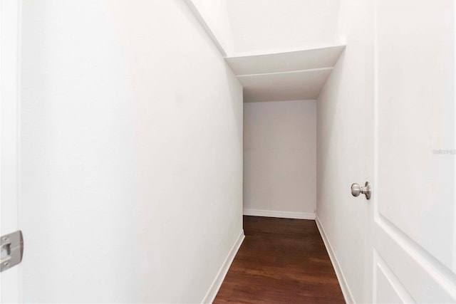 hallway featuring dark hardwood / wood-style flooring