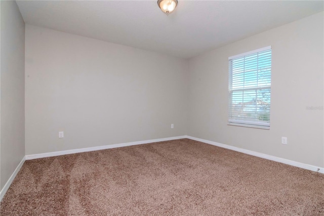 spare room featuring carpet flooring