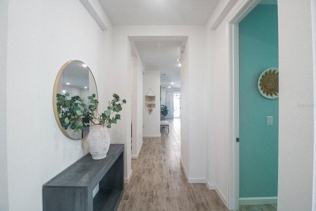 corridor with wood-type flooring