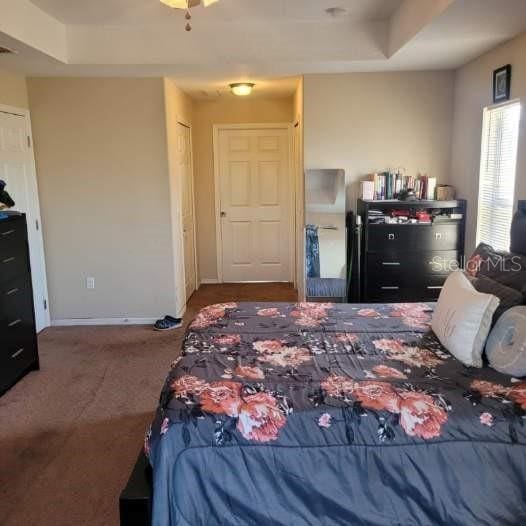 carpeted bedroom featuring a tray ceiling