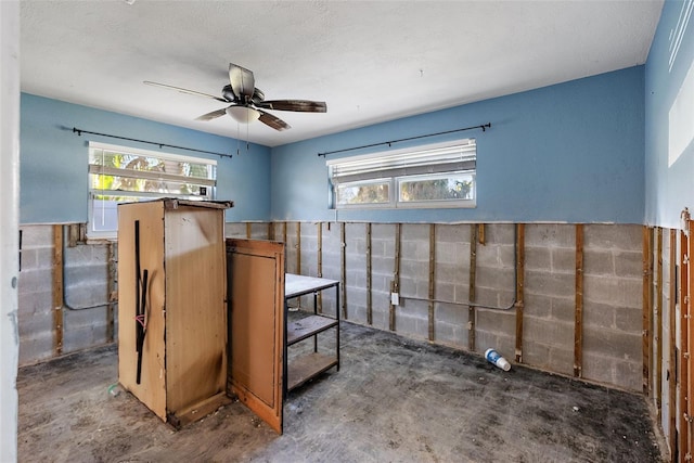 basement featuring ceiling fan