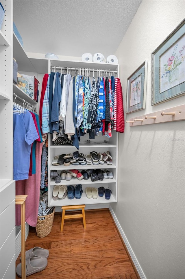 walk in closet featuring hardwood / wood-style flooring