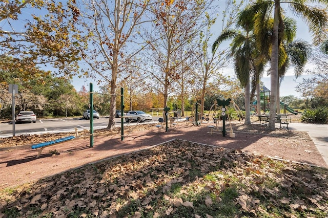 view of yard with a playground