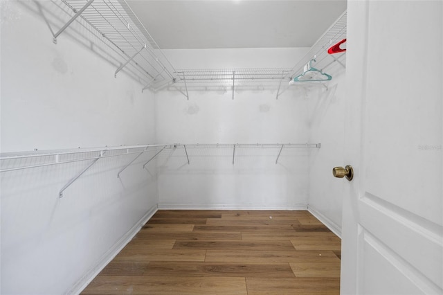 spacious closet featuring wood-type flooring