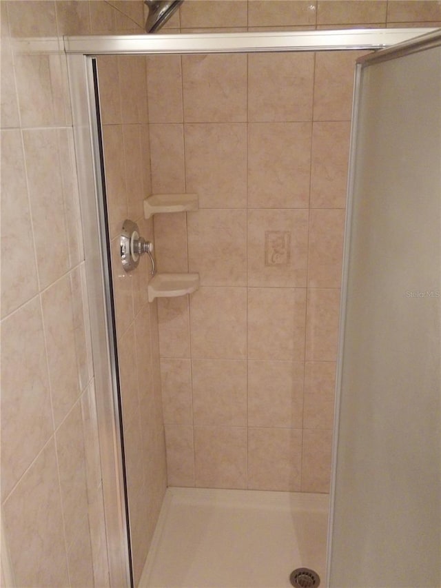 bathroom featuring a shower with shower door