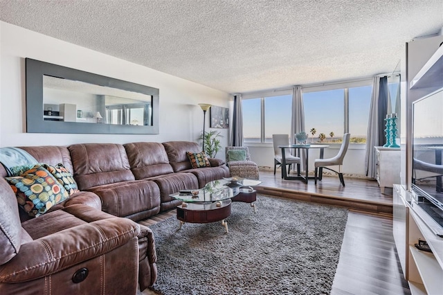 living room with dark hardwood / wood-style flooring and a textured ceiling