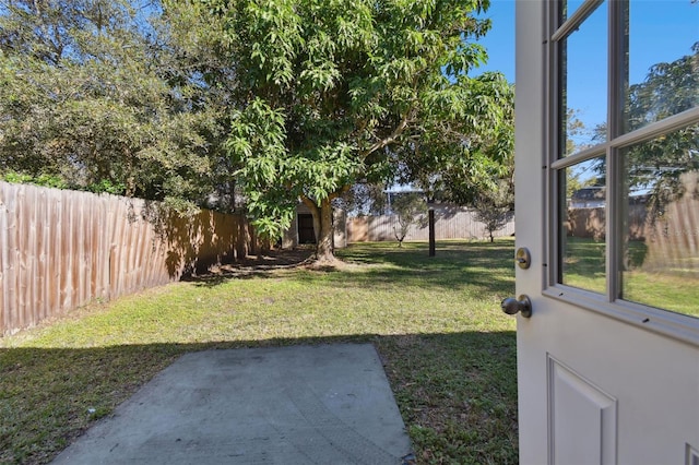 view of yard featuring a patio area