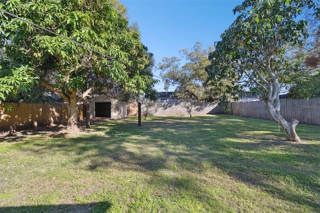 view of yard with a storage shed