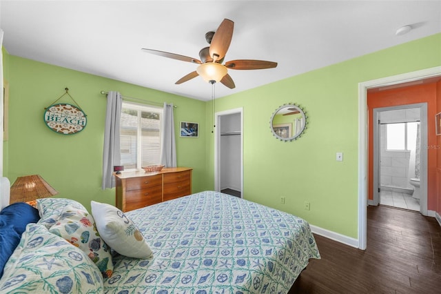 bedroom featuring ceiling fan, a closet, dark hardwood / wood-style floors, and multiple windows