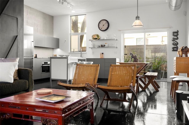 living area with finished concrete flooring and track lighting