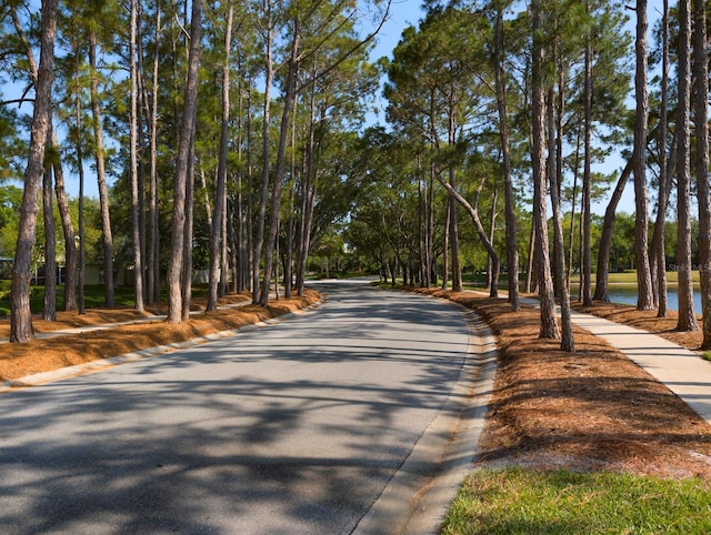 view of street with a water view, sidewalks, and curbs