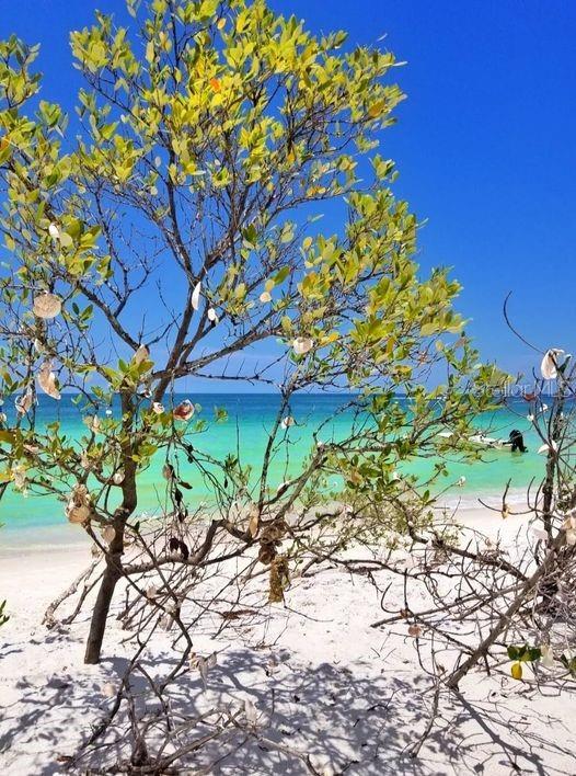 property view of water featuring a beach view