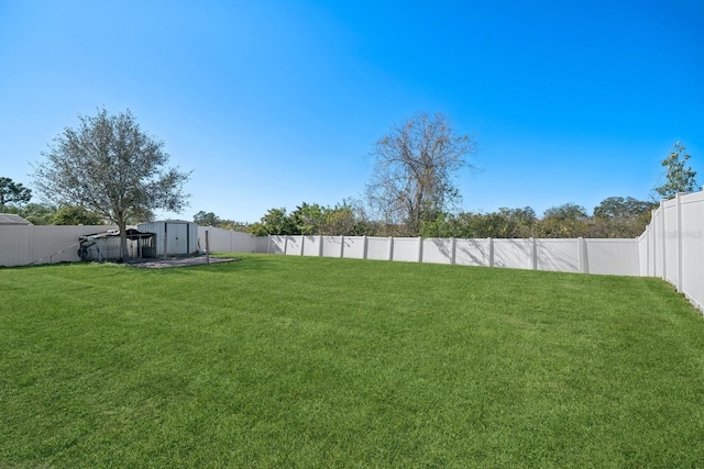 view of yard featuring a storage shed