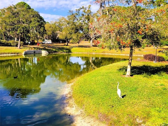 view of community with a water view