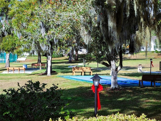 view of community with a yard