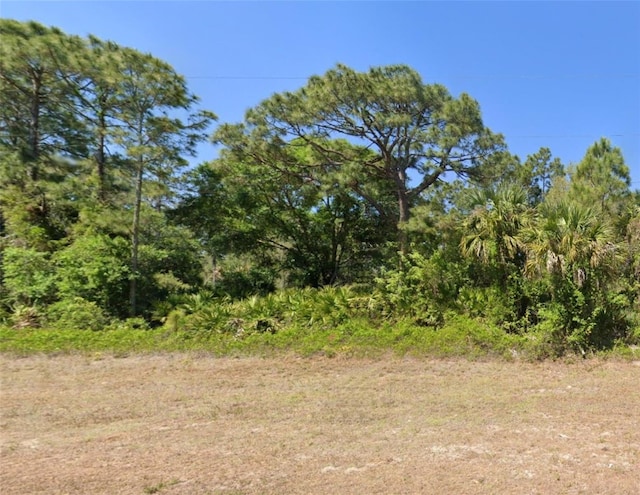 1211 Grant Blvd, Lehigh Acres FL, 33974 land for sale