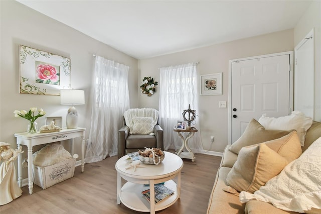 living room featuring light hardwood / wood-style flooring