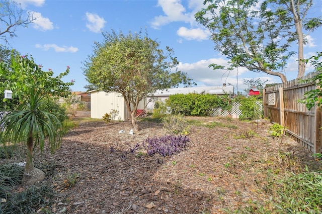 view of yard featuring a shed