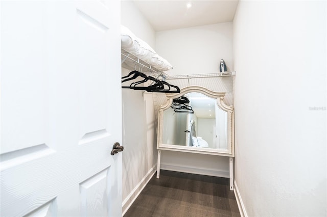 spacious closet featuring hardwood / wood-style flooring