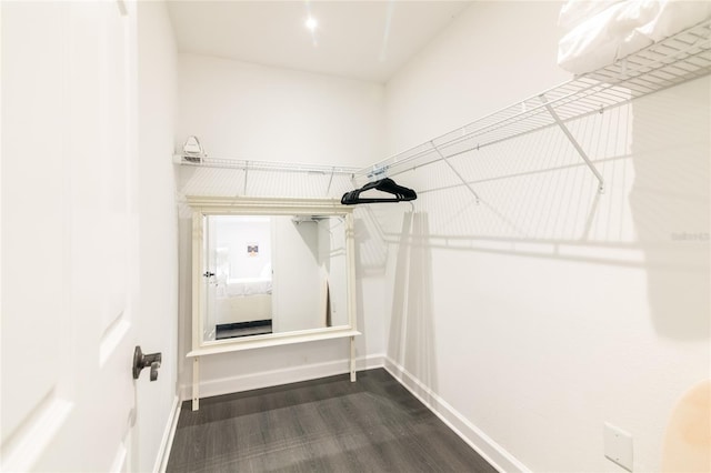 spacious closet featuring dark hardwood / wood-style flooring