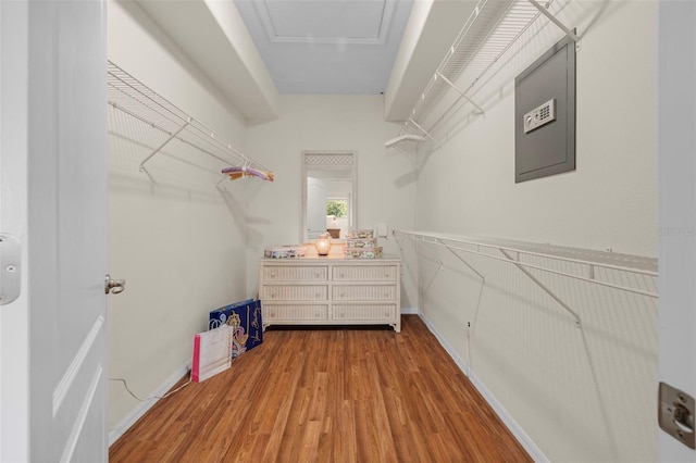 spacious closet with hardwood / wood-style flooring