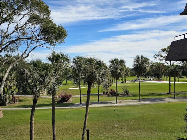 view of community featuring a yard